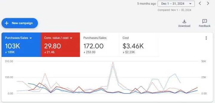 172 purchases at 30x return on ad spend: Ecommerce store