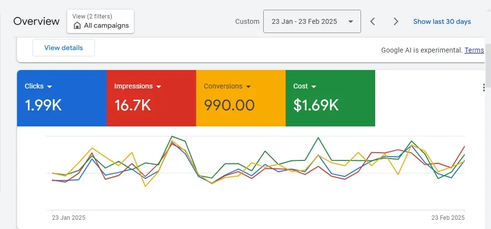 990 conversions in one month: Google Ads account